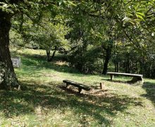 prato-panchine-natura-montana-pigra prato-panchine-natura-montana-pigra